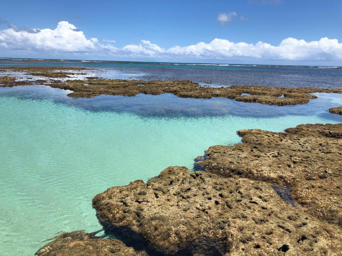Trevily Porto Flats A 100M Da Praia Pôrto das Galinhas エクステリア 写真