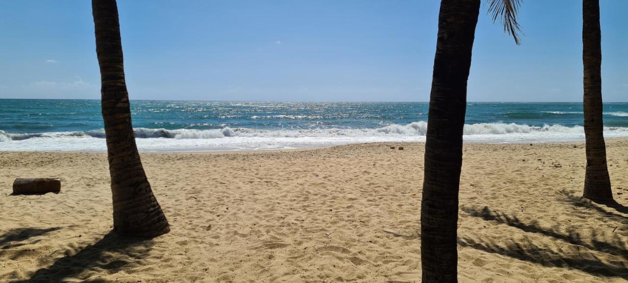 Trevily Porto Flats A 100M Da Praia Pôrto das Galinhas エクステリア 写真